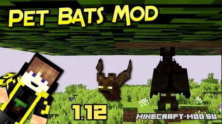 Pet Bat 1.12