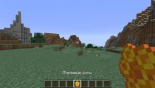 Пчелиные соты в Minecraft 1.15