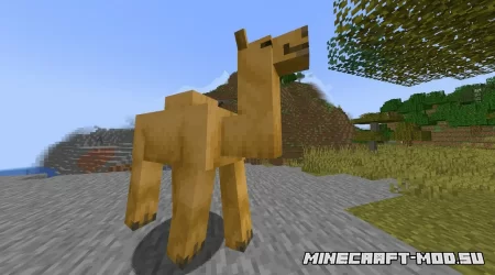 Верблюд в Minecraft 1.20